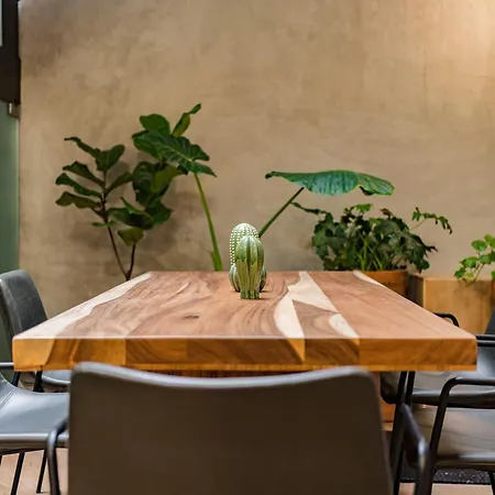 Escandon Suites By Escajal Rooms